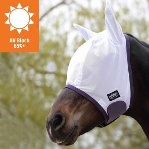 Mask Wb Hexi Shield Ride On