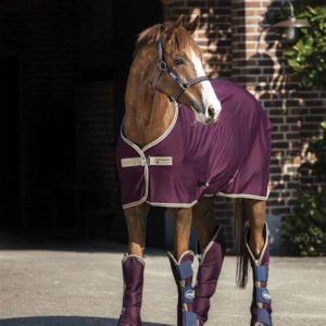 Cooler Amigo Jersey