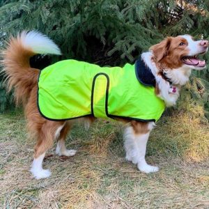 Dog Blkt Wb Dlx Windbreaker