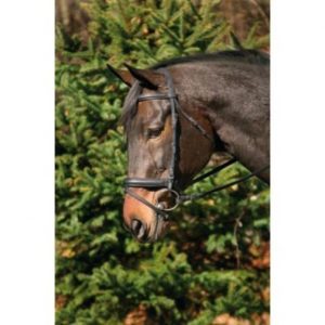 Bridle Drs Crank W.flash