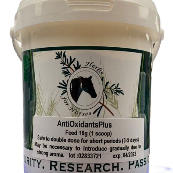 Antioxidant Plus Hh 500g~31day