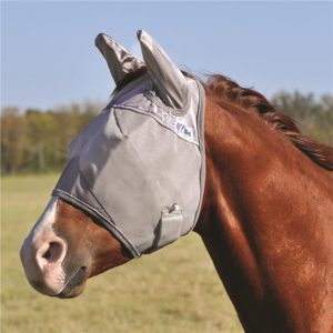 Mask Cashel Std W)ears