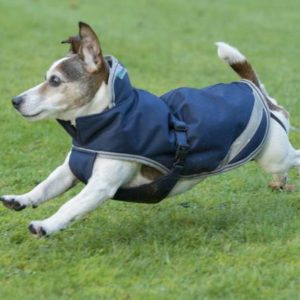 Dog Blkt Bucas Frdm 300gm