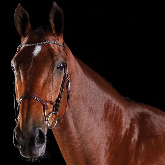 Bridle Colmfitec Crystal Full