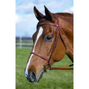 Bridle Hdr Fancy Raised