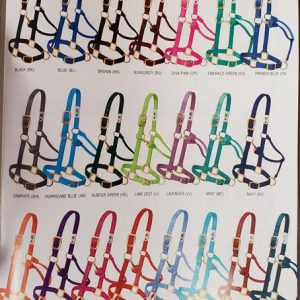 Halter 1" Nonadj Avg