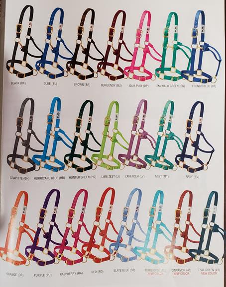 Halter 1" Nonadj Avg