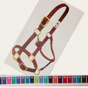Halter 1" Adj Yearling